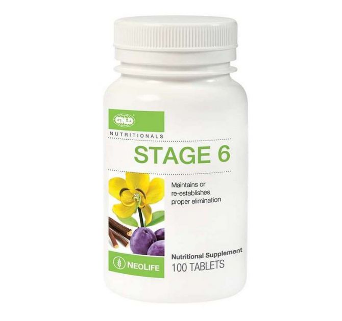 Stage 6