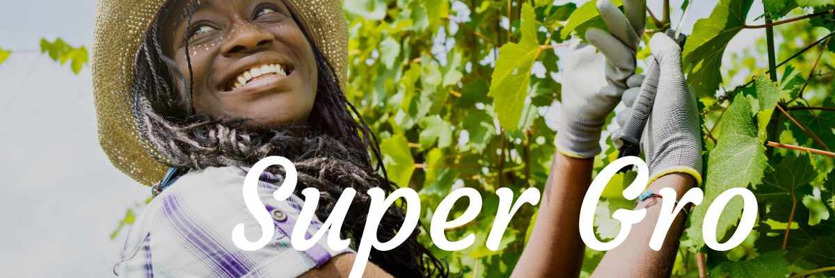 SuperGro